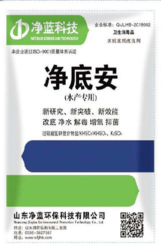净底安